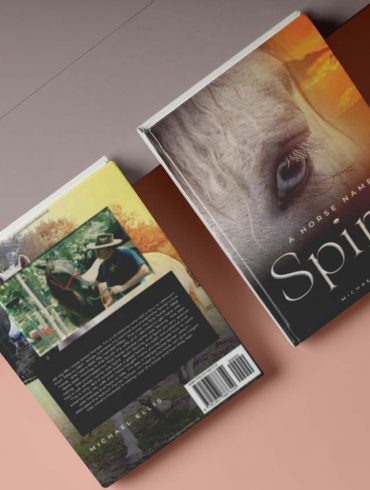 Top 5 Best-Selling Equestrian Guidebooks for all Horse Enthusiasts