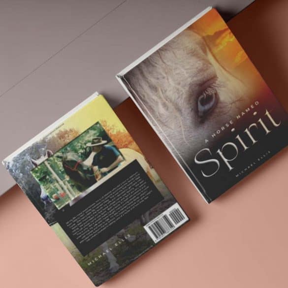 Top 5 Best-Selling Equestrian Guidebooks for all Horse Enthusiasts